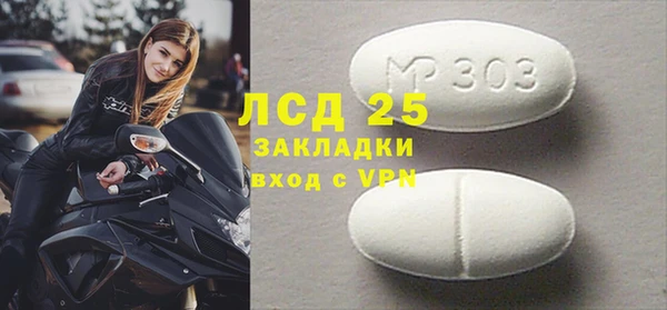 прущие грибы Ельня