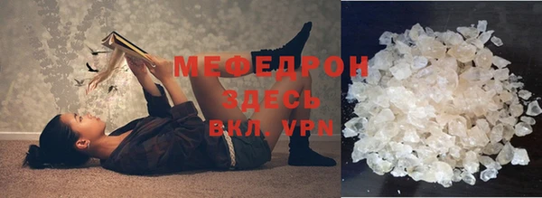 прущие грибы Ельня
