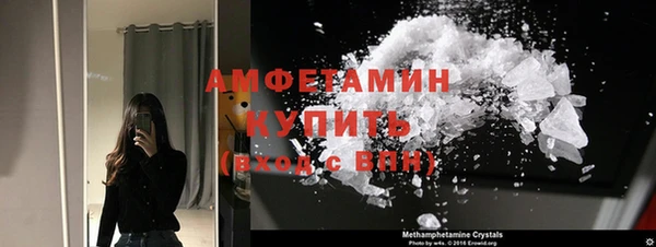 прущие грибы Ельня