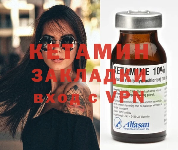 прущие грибы Ельня