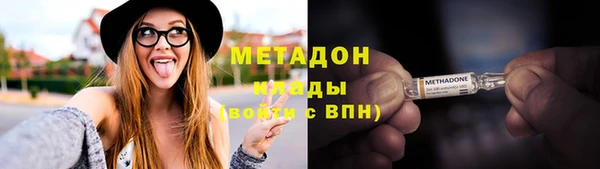 прущие грибы Ельня