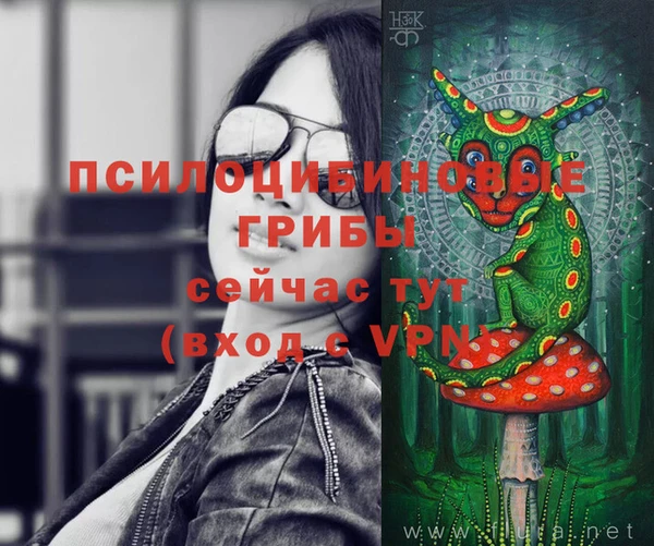 прущие грибы Ельня