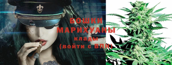 прущие грибы Ельня