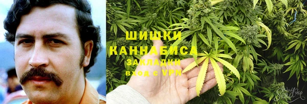прущие грибы Ельня