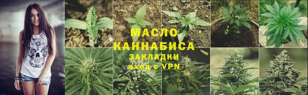 прущие грибы Ельня