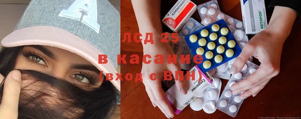 прущие грибы Ельня