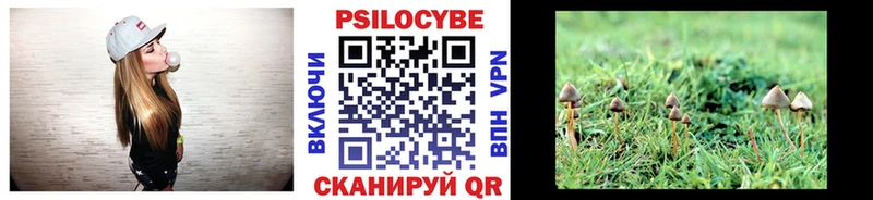 Купить где  Дедовск  Псилоцибиновые грибы Psilocybe 