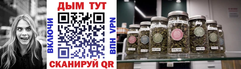Бошки Шишки Bruce Banner  Купить закладки  Дедовск 